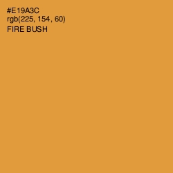 #E19A3C - Fire Bush Color Image